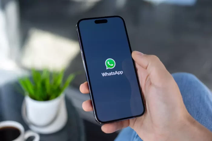 Usernames sur WhatsApp <BR> L&rsquo;Algérie exige de Meta un ancrage territorial des comptes