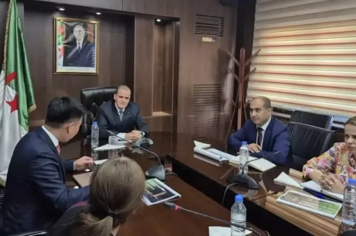Transformation numérique du commerce extérieur <BR> Le ministre Rezig et le PDG de Huawei Algérie examinent une coopération renforcée pour moderniser les services numériques